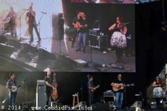 IBMA WOB 14