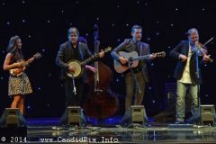 IBMA WOB 14