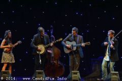 IBMA WOB 14