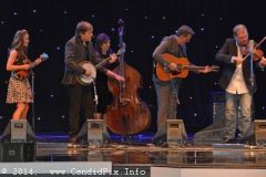 IBMA WOB 14