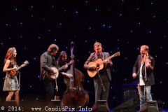 IBMA WOB 14