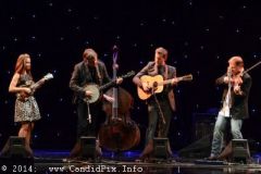 IBMA WOB 14