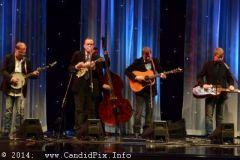 IBMA WOB 14