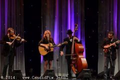 IBMA WOB 14