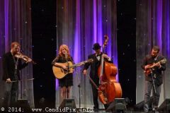 IBMA WOB 14