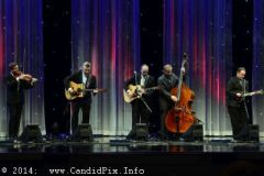 IBMA WOB 14