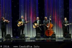 IBMA WOB 14