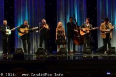 IBMA WOB 14