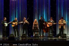 IBMA WOB 14