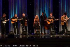 IBMA WOB 14