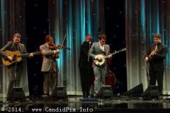 IBMA WOB 14
