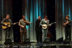 IBMA WOB 14