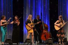 IBMA WOB 14