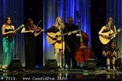 IBMA WOB 14