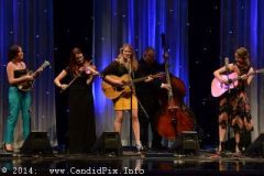 IBMA WOB 14