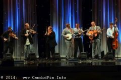 IBMA WOB 14