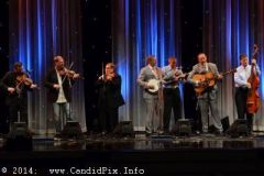 IBMA WOB 14