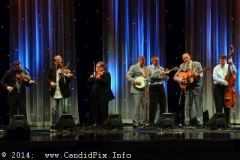 IBMA WOB 14