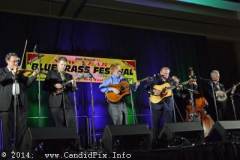 New Year bluegrass Festival