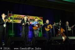 New Year bluegrass Festival