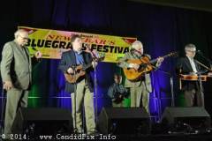 New Year bluegrass Festival