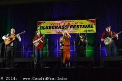 New Year bluegrass Festival