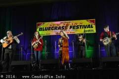 New Year bluegrass Festival