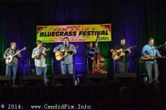 New Year bluegrass Festival