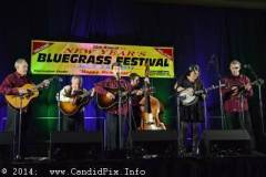 New Year bluegrass Festival