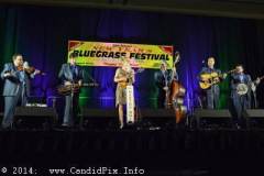 New Year bluegrass Festival