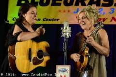 New Year bluegrass Festival