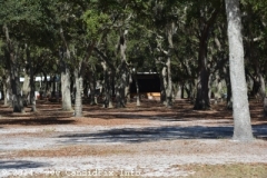 2014 March Newell Lodge Festival