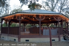 Newell Lodge Bluegrass Festival