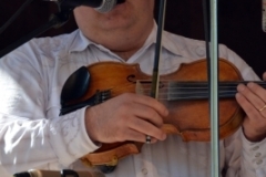 Newell Lodge Bluegrass Festival