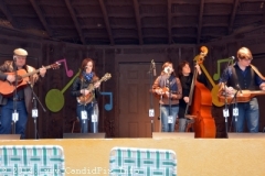 Newell Lodge Bluegrass Festival