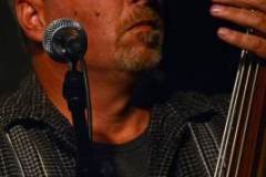 Marshall Bluegrass Festival 2014