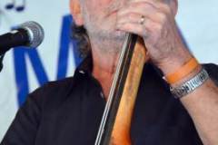 Marshall Bluegrass Festival 2014