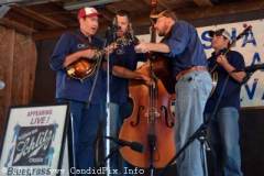 Marshall Bluegrass Festival 2014