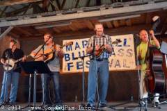 Marshall Bluegrass Festival 2014