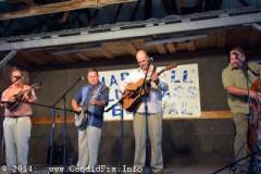 Marshall Bluegrass Festival 2014
