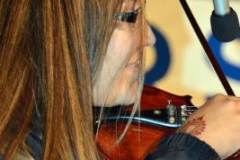 Marshall Bluegrass Festival 2014