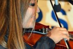 Marshall Bluegrass Festival 2014