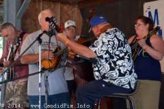 Marshall Bluegrass Festival 2014