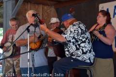 Marshall Bluegrass Festival 2014
