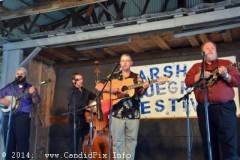 Marshall Bluegrass Festival 2014