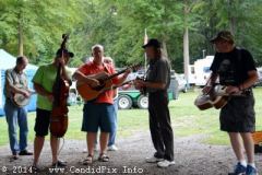 Milan Bluegrass Festival