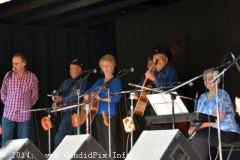Milan Bluegrass Festival