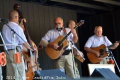 Milan Bluegrass Festival