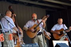 Milan Bluegrass Festival