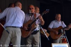 Milan Bluegrass Festival